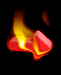 BRNEXT.GIF (11519 Byte)